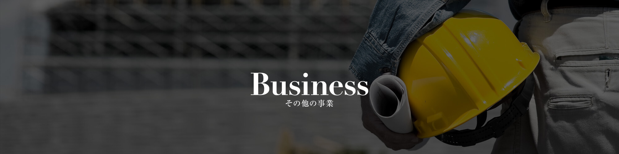 その他の事業